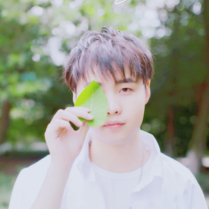 可以看污视频的在线网站
